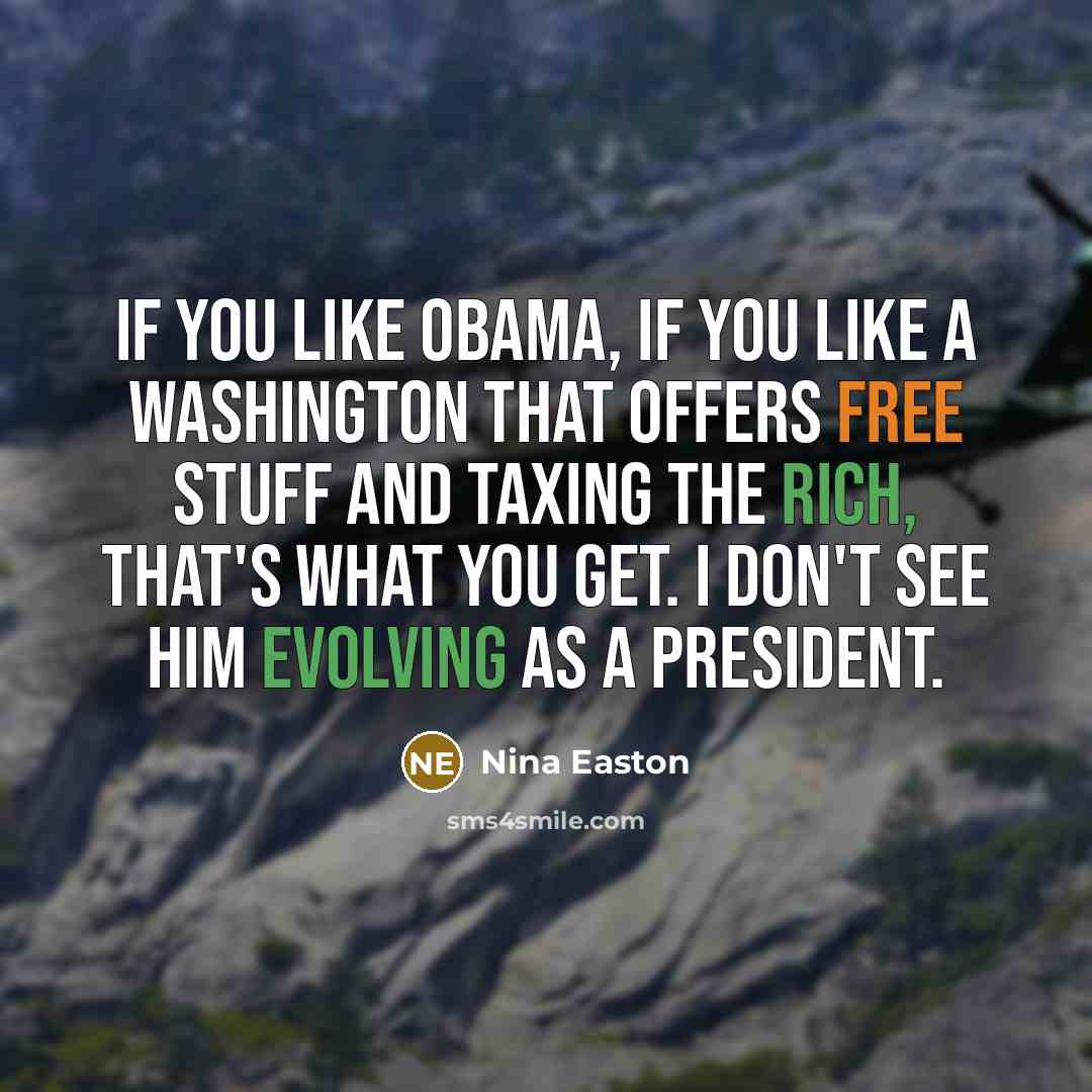“If you like Obama, if you like a Washington that…” quote by Nina Easton