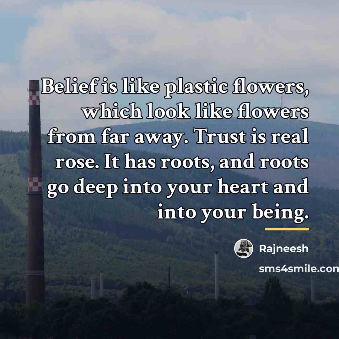 “Belief is like plastic flowers, which look like flowers from…” quote by Rajneesh