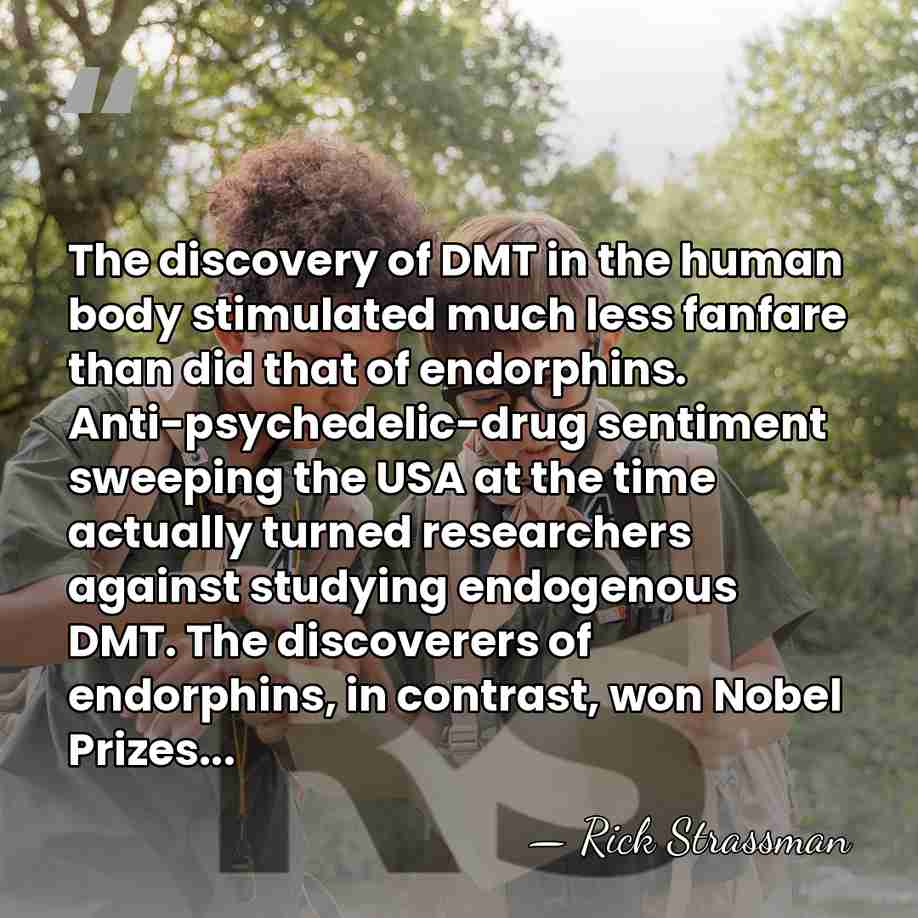 The discovery of DMT in the human body stimulated much less fanfare&hellip; - Rick Strassman