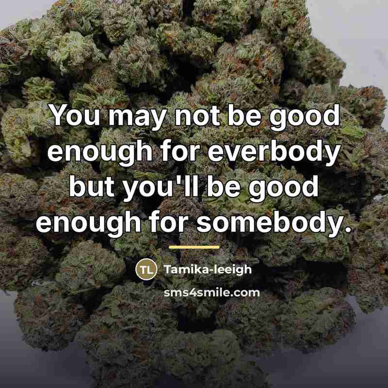“You may not be good enough for everbody but you'll…” quote by Tamika-leeigh