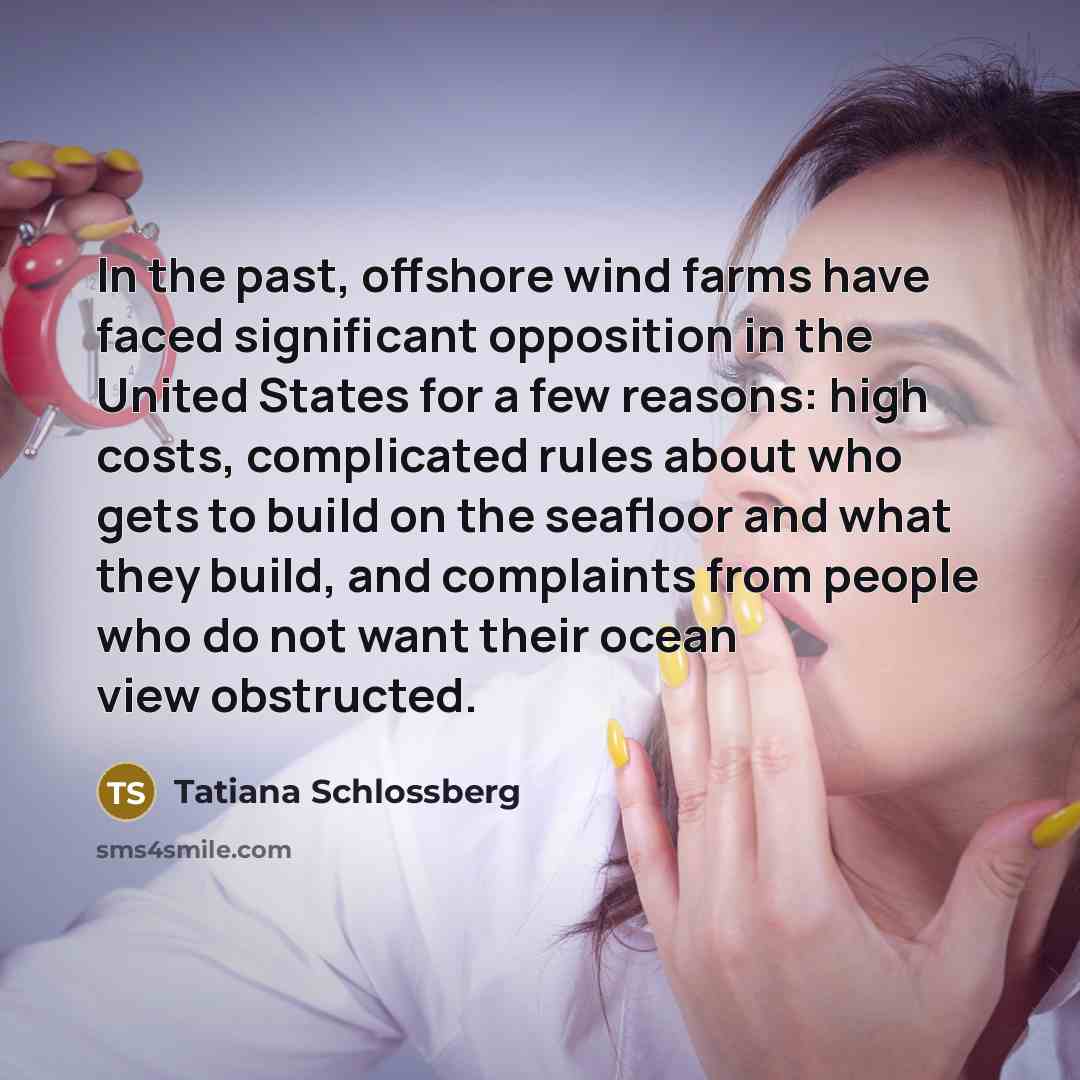 “In the past, offshore wind farms have faced significant opposition…” quote by Tatiana Schlossberg