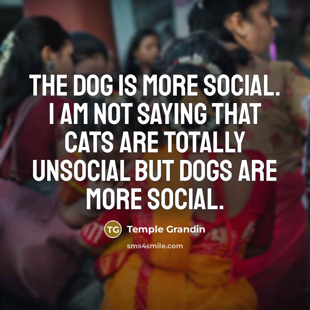 “The dog is more social. I am not saying that…” quote by Temple Grandin