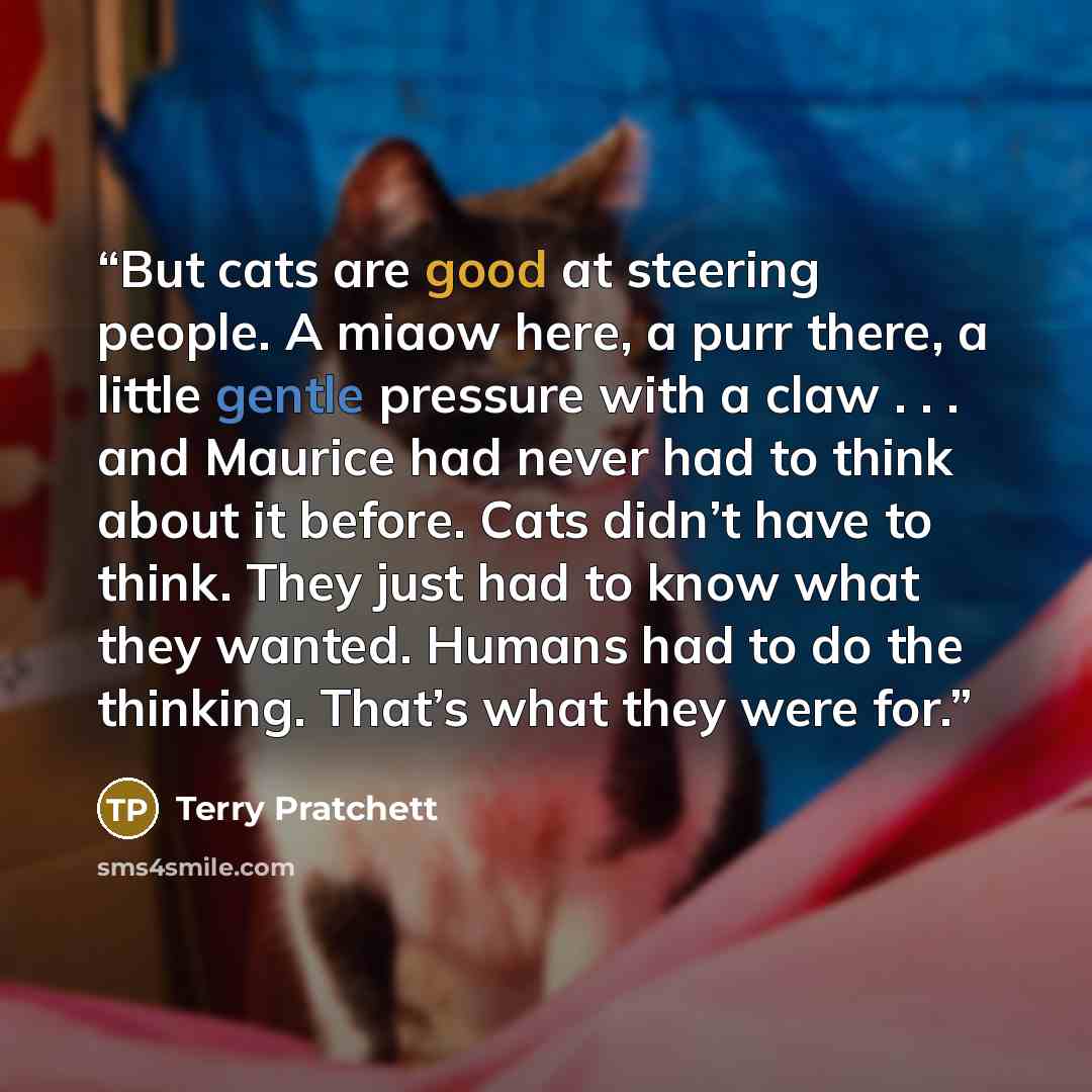 “But cats are good at steering people. A miaow here, a purr there, a little gentle pressure with a claw . . . and Maurice had never had to think about it before. Cats didn’t have to think. They just had to know what they wanted. Humans had to do the thinking. That’s what they were for.” quote by Terry Pratchett
