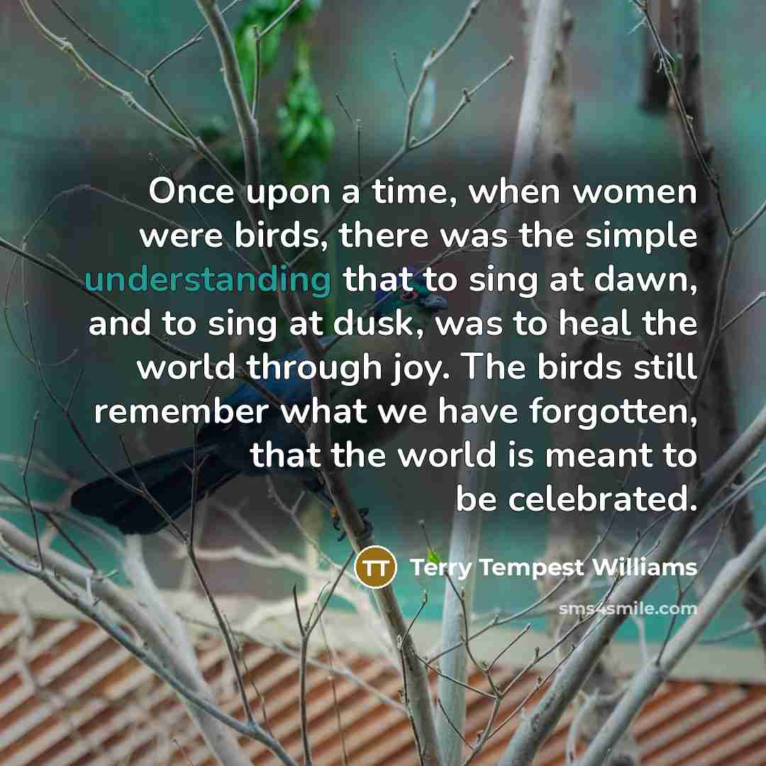 “Once upon a time, when women were birds, there was…” quote by Terry Tempest Williams