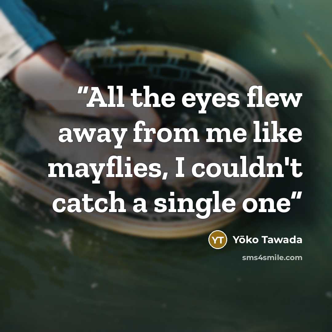 “All the eyes flew away from me like mayflies, I couldn't catch a single one” quote by Yōko Tawada