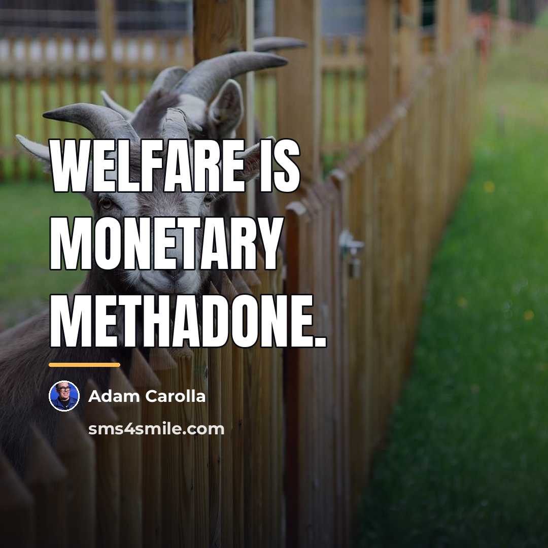 “Welfare is monetary methadone.…” quote by Adam Carolla