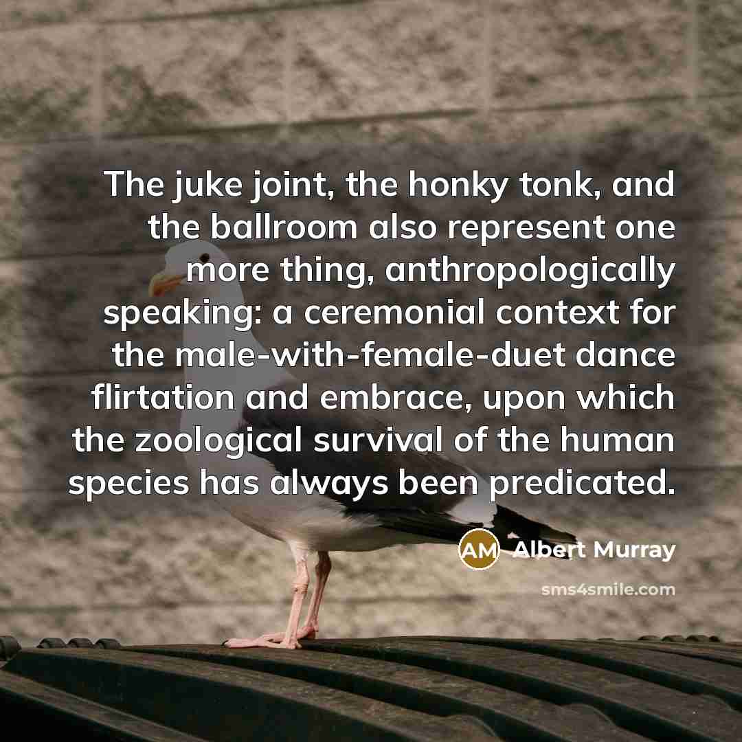 “The juke joint, the honky tonk, and the ballroom also…” quote by Albert Murray