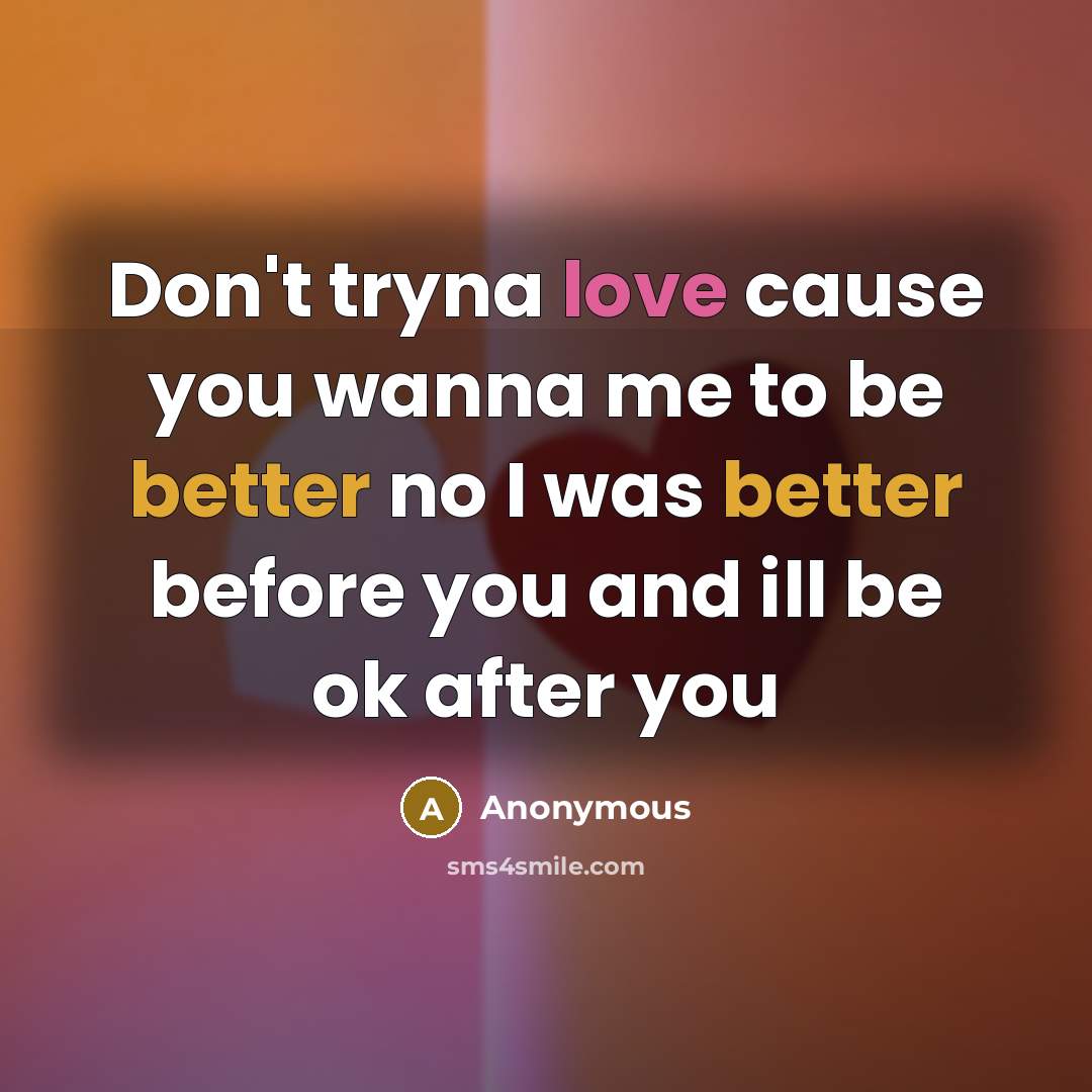 “Don't tryna love cause you wanna me to be better no I was better before you and ill be ok after you” quote by Anonymous