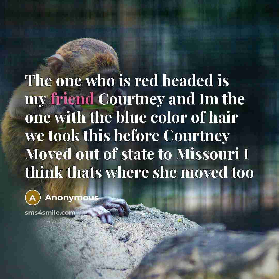 “The one who is red headed is my friend Courtney and Im the one with the blue color of hair we took this before Courtney Moved out of state to Missouri I think thats where she moved too” quote by Anonymous