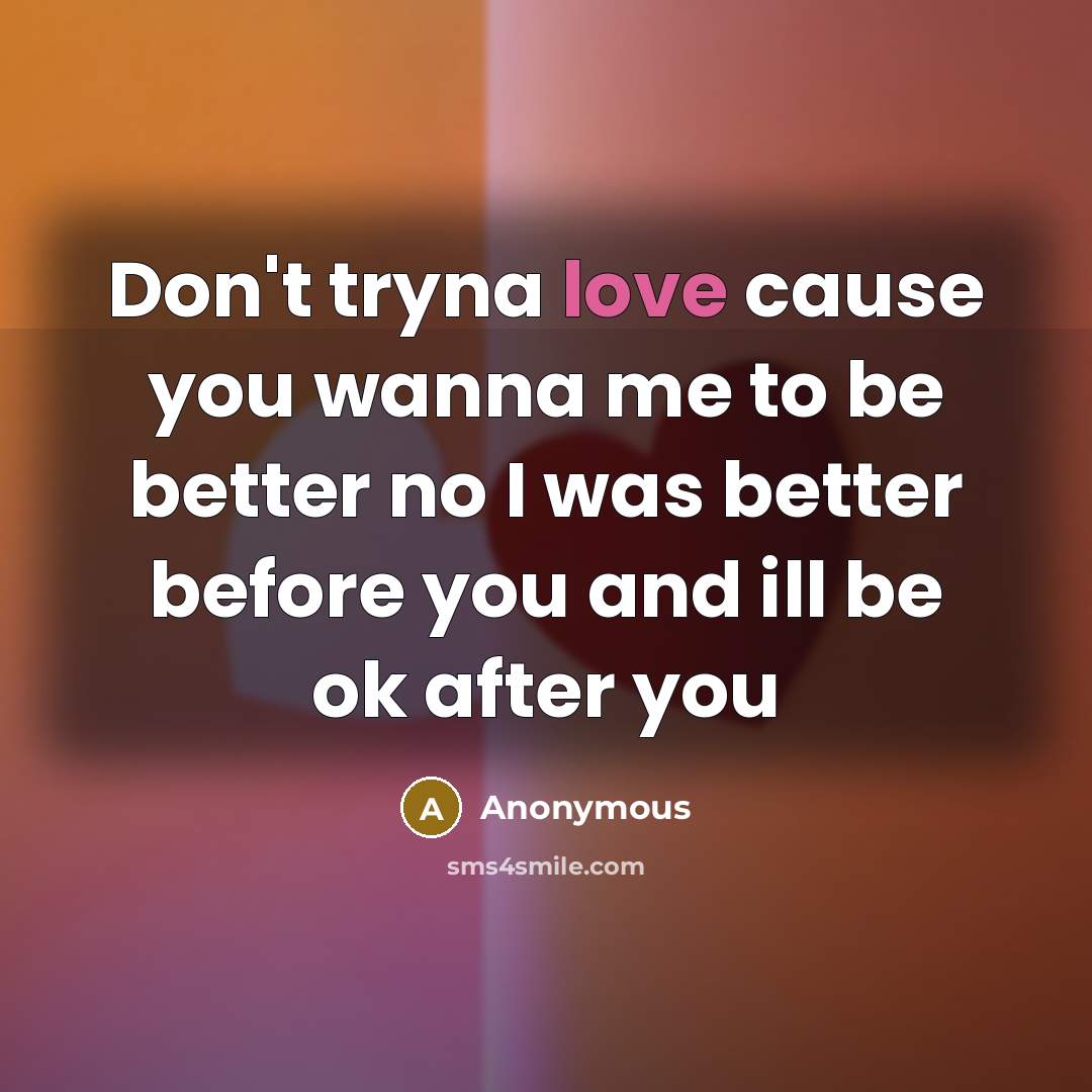 “Don't tryna love cause you wanna me to be better no I was better before you and ill be ok after you” quote by Anonymous