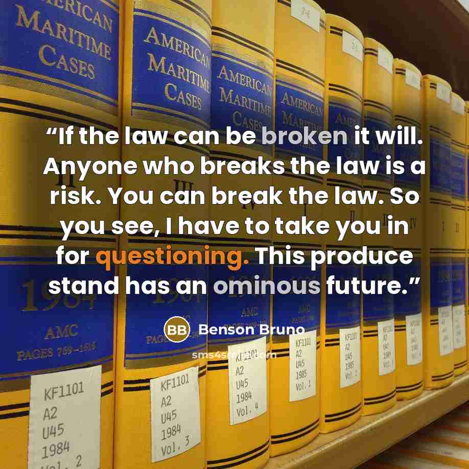 “If the law can be broken it will. Anyone who breaks the law is a risk. You can break the law. So you see, I have to take you in for questioning. This produce stand has an ominous future.” quote by Benson Bruno