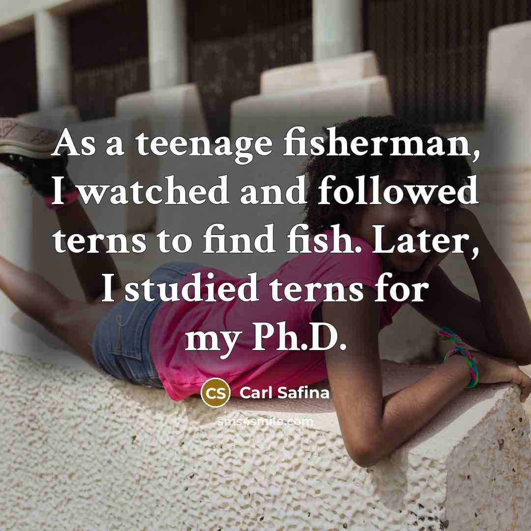 “As a teenage fisherman, I watched and followed terns to…” quote by Carl Safina