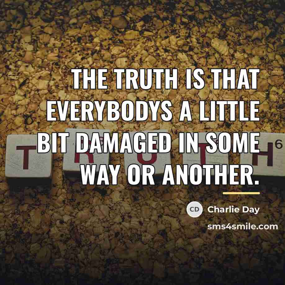 “The truth is that everybodys a little bit damaged in…” quote by Charlie Day