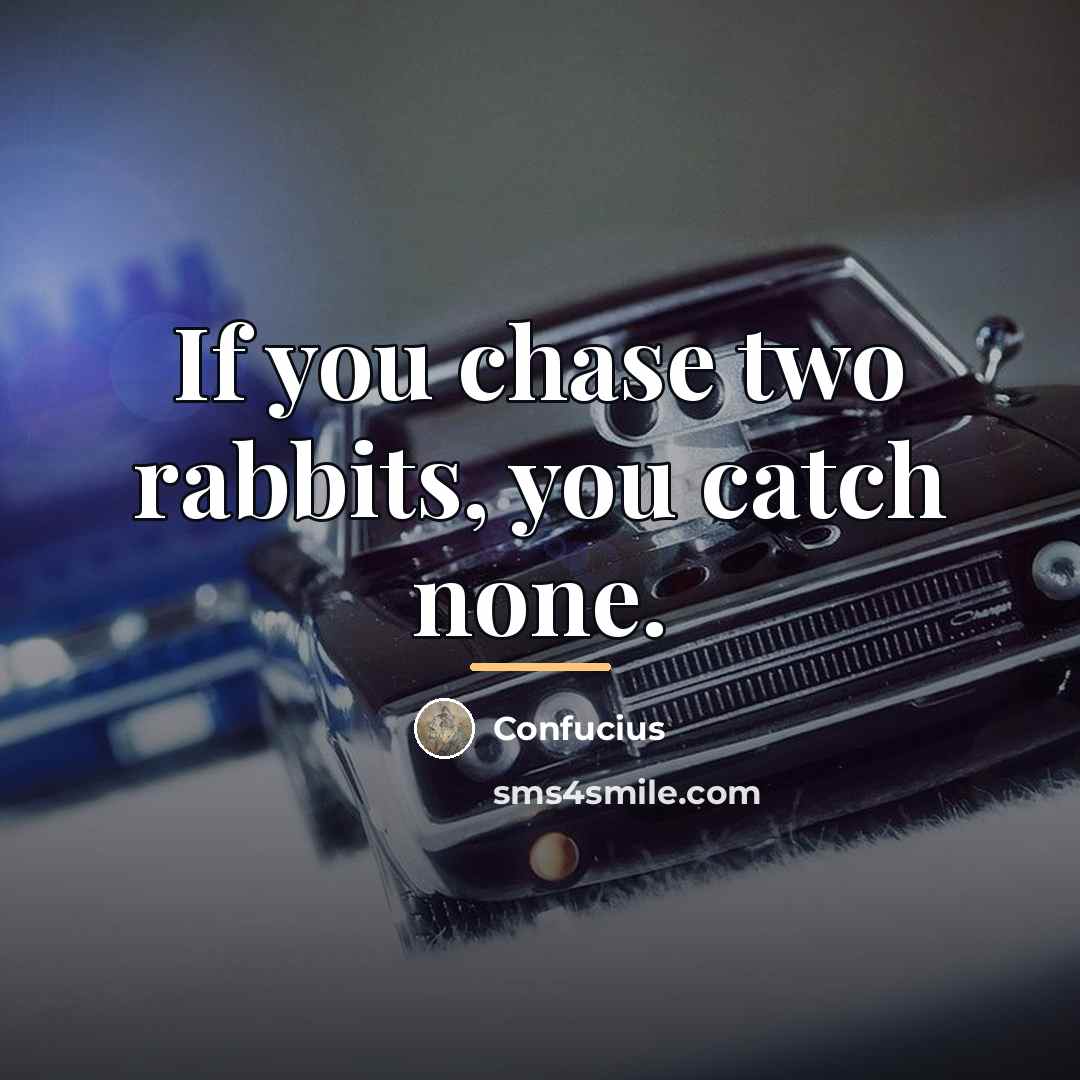 “If you chase two rabbits, you catch none.…” quote by Confucius