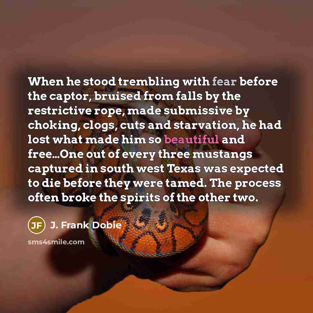 “When he stood trembling with fear before the captor, bruised…” quote by J. Frank Dobie