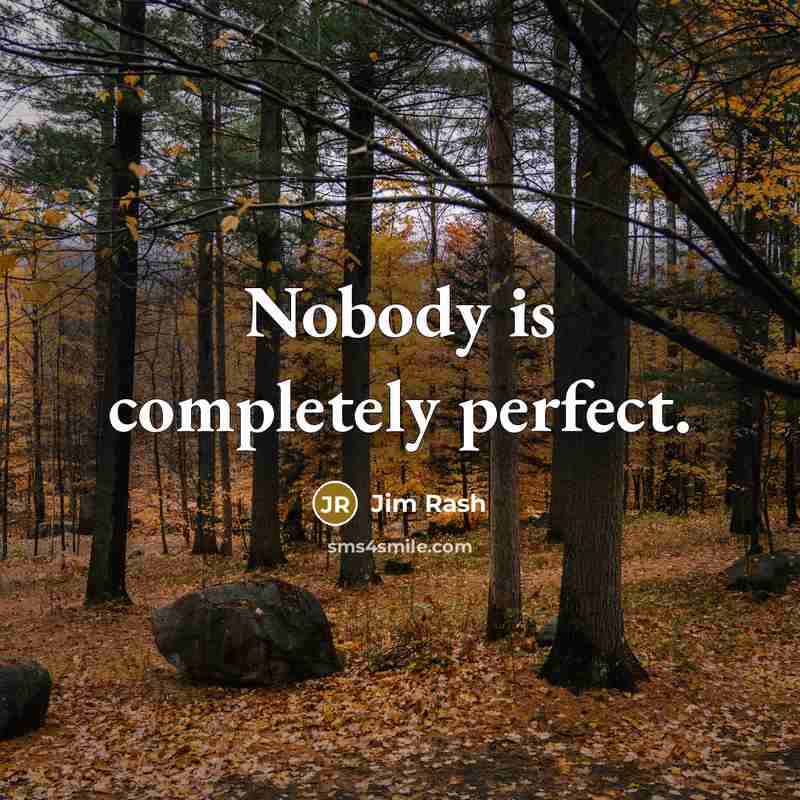 “Nobody is completely perfect.” quote by Jim Rash
