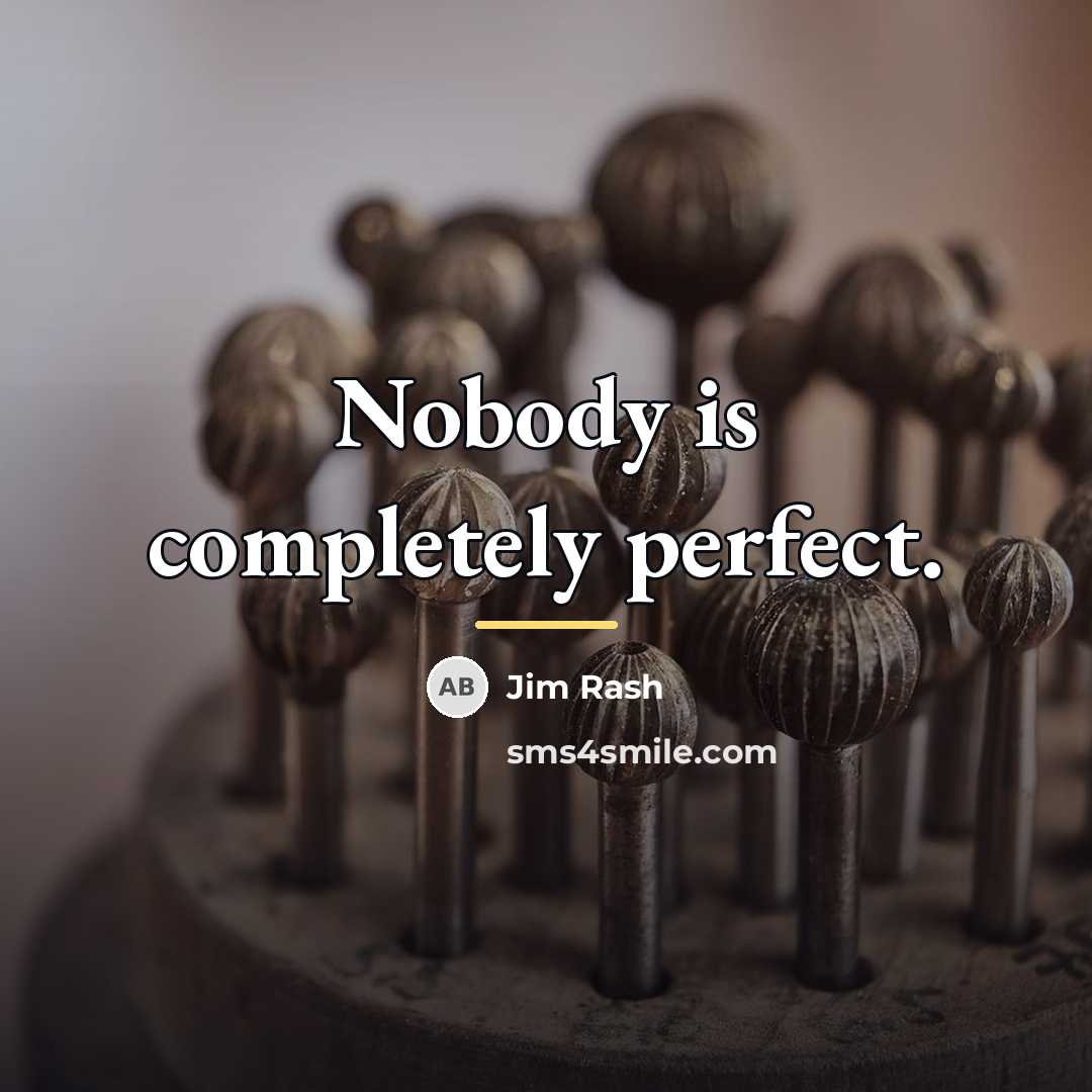 “Nobody is completely perfect.…” quote by Jim Rash