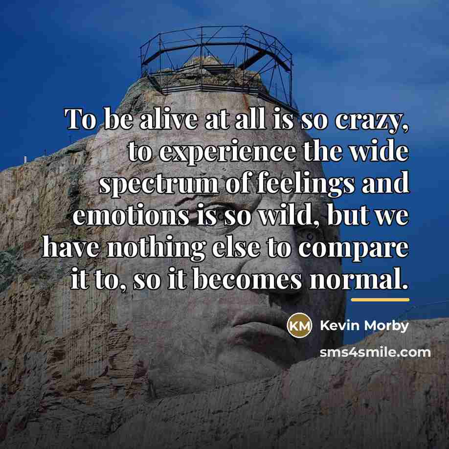 “To be alive at all is so crazy, to experience…” quote by Kevin Morby