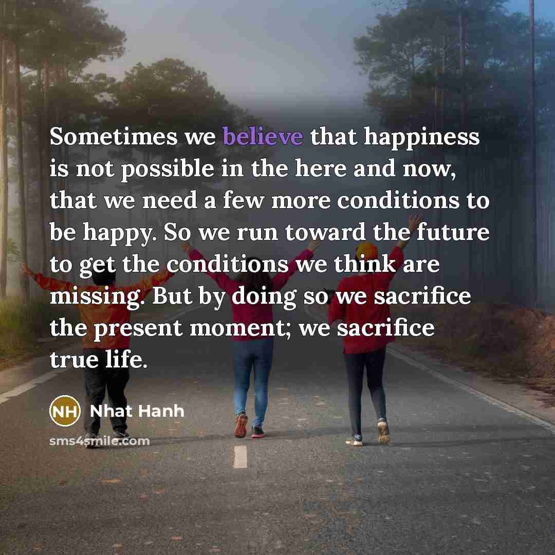 “Sometimes we believe that happiness is not possible in the…” quote by Nhat Hanh