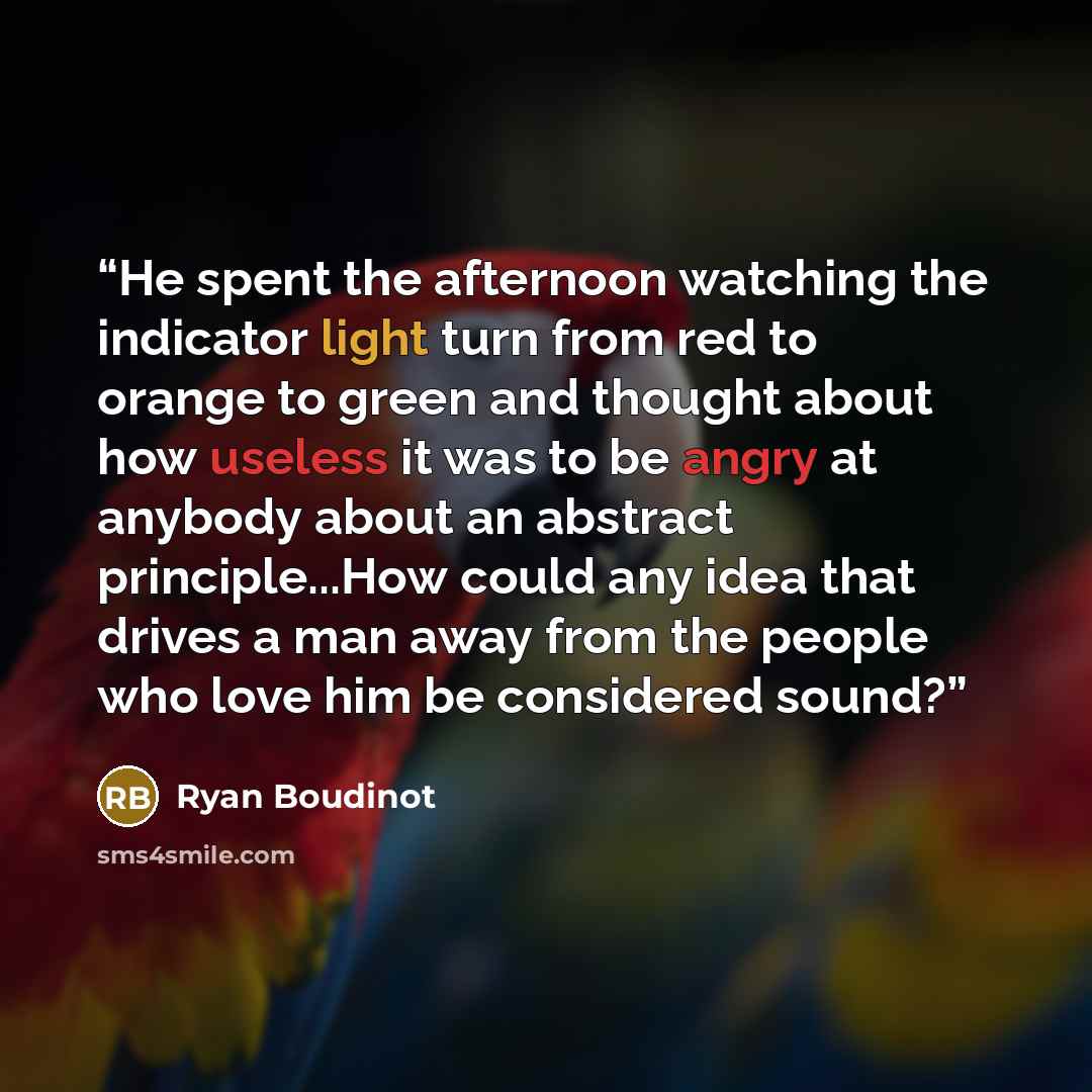 “He spent the afternoon watching the indicator light turn from red to orange to green and thought about how useless it was to be angry at anybody about an abstract principle...How could any idea that drives a man away from the people who love him be considered sound?” quote by Ryan Boudinot