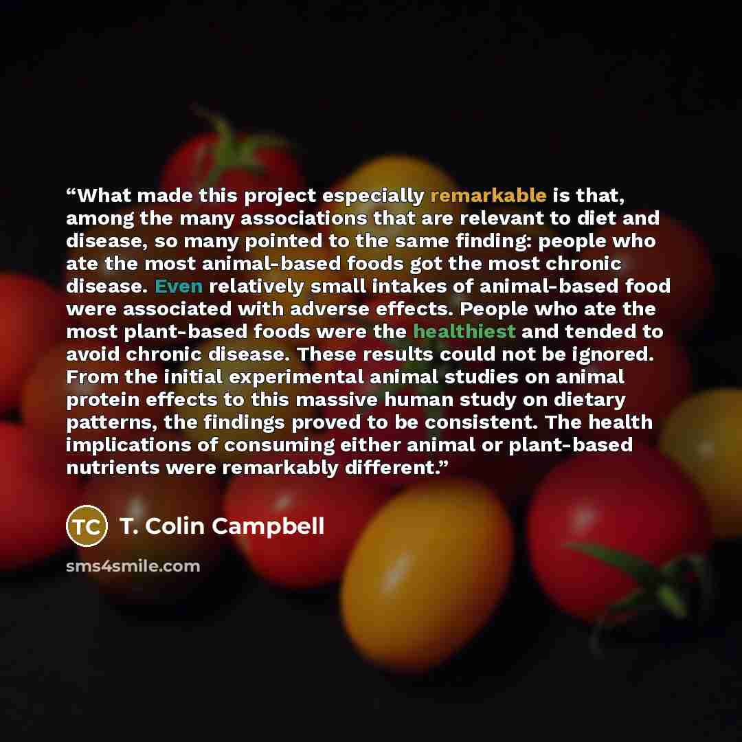 “What made this project especially remarkable is that, among the many associations that are relevant to diet and disease, so many pointed to the same finding: people who ate the most animal-based foods got the most chronic disease. Even relatively small intakes of animal-based food were associated…” quote by T. Colin Campbell