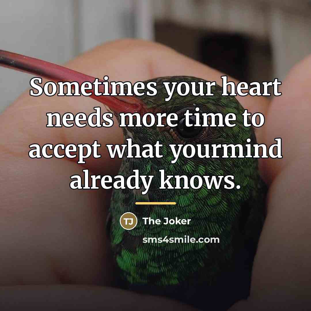 “Sometimes your heart needs more time to accept what yourmind…” quote by The Joker