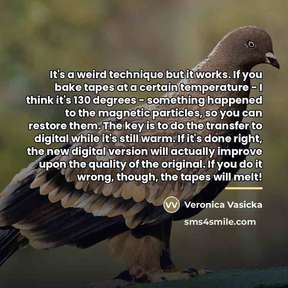 “It's a weird technique but it works. If you bake…” quote by Veronica Vasicka