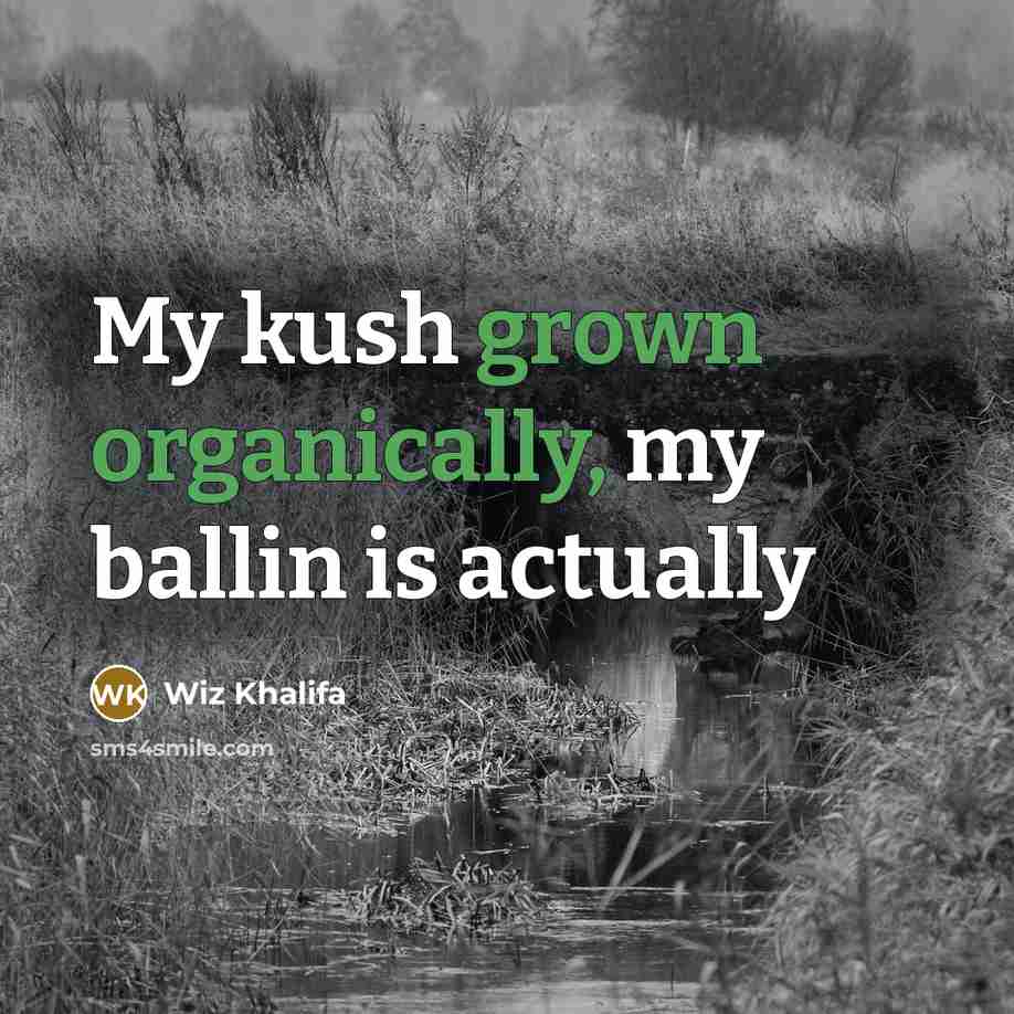 “My kush grown organically, my ballin is actually” quote by Wiz Khalifa