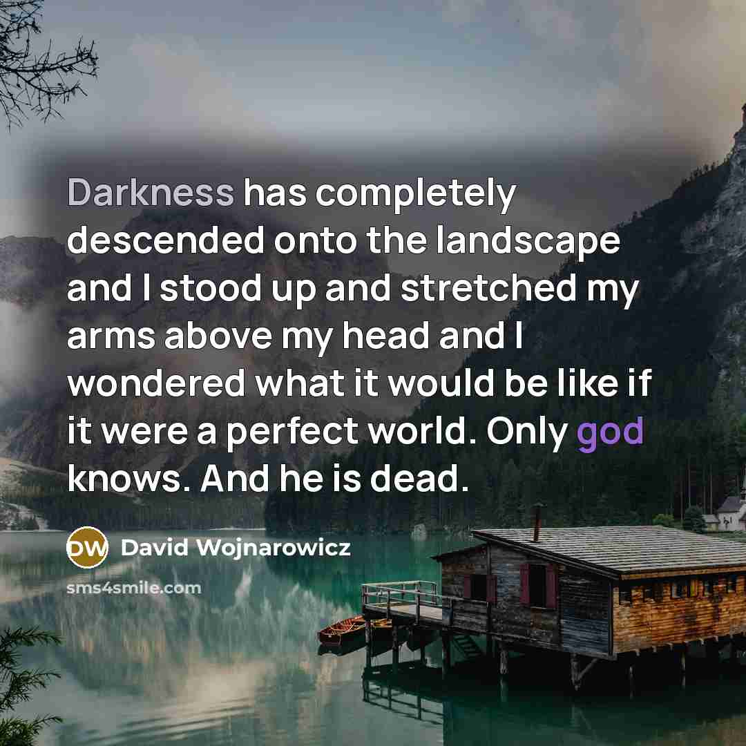 “Darkness has completely descended onto the landscape and I stood…” quote by David Wojnarowicz