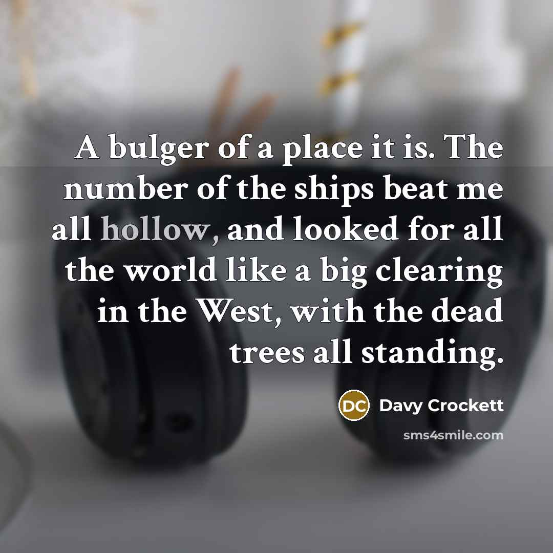 “A bulger of a place it is. The number of…” quote by Davy Crockett