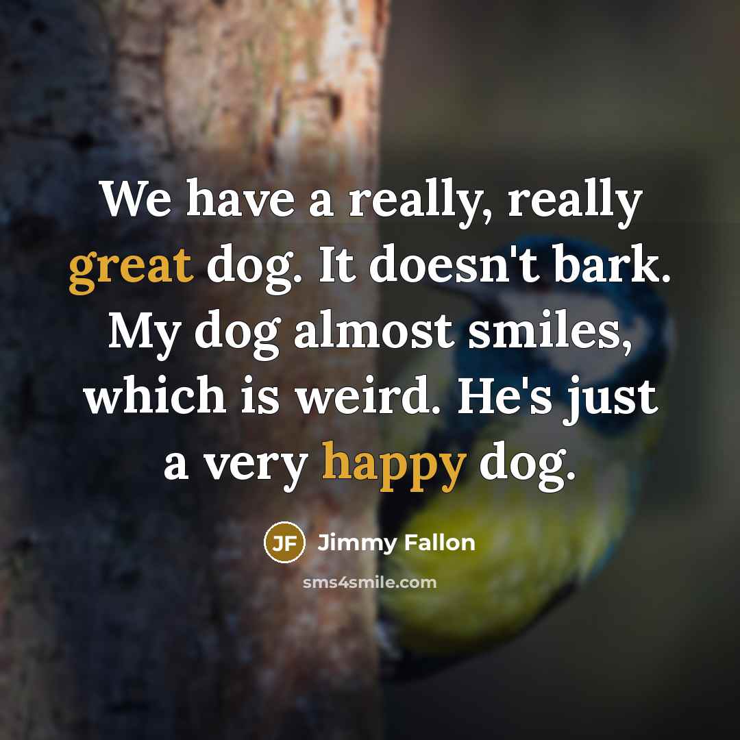 “We have a really, really great dog. It doesn't bark. My dog almost smiles, which is weird. He's just a very happy dog.” quote by Jimmy Fallon