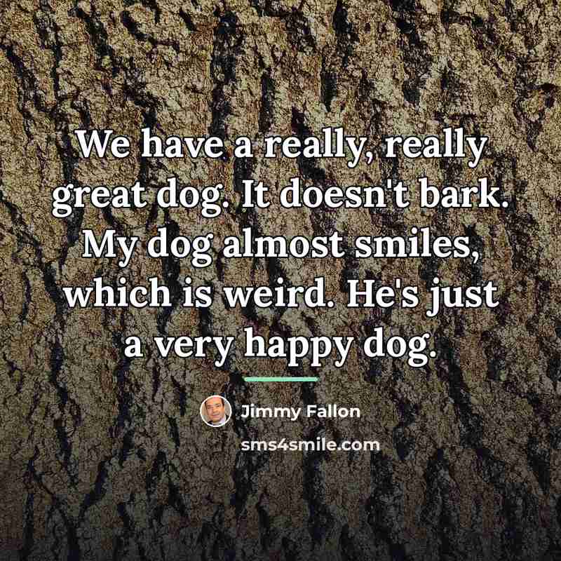 “We have a really, really great dog. It doesn't bark.…” quote by Jimmy Fallon