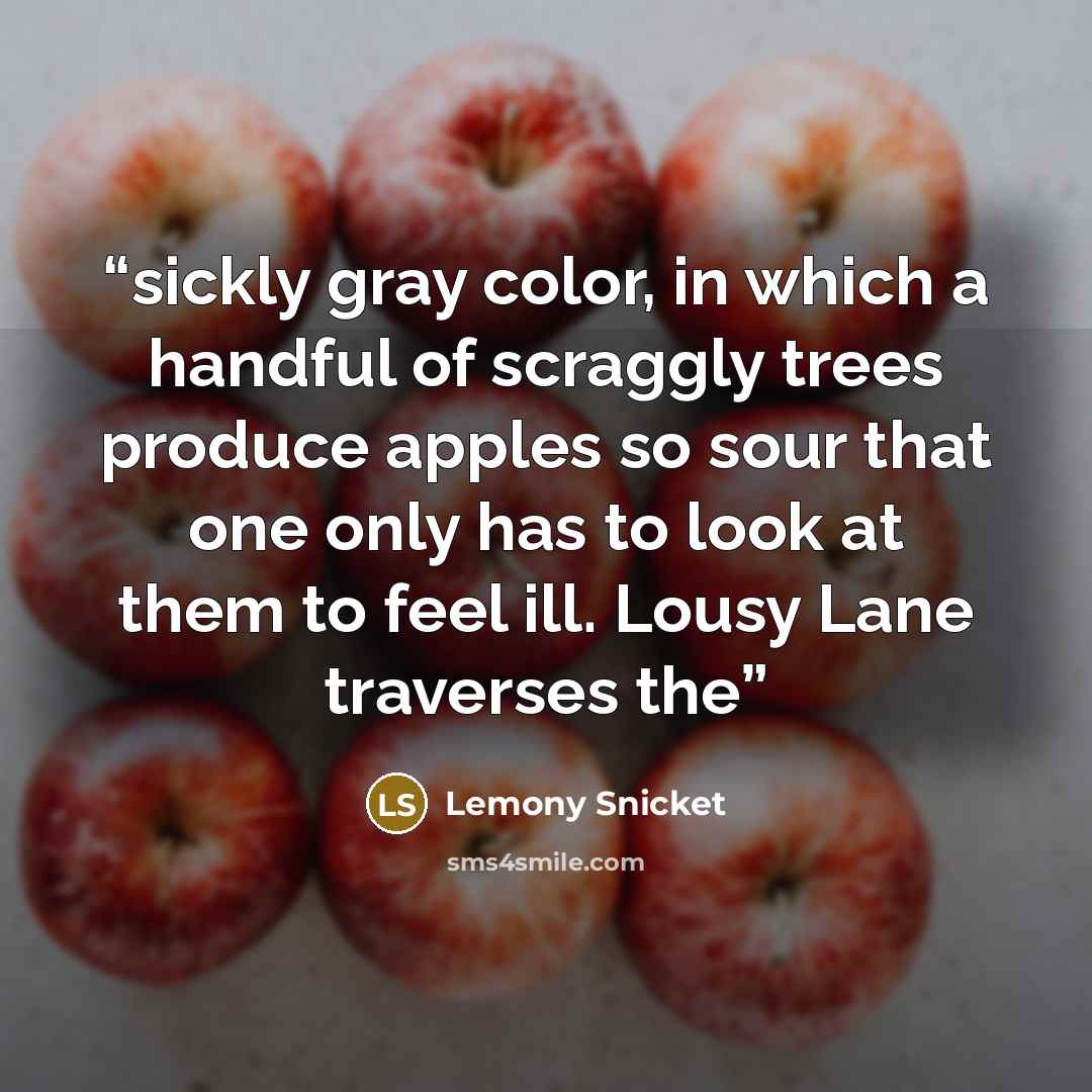 “sickly gray color, in which a handful of scraggly trees produce apples so sour that one only has to look at them to feel ill. Lousy Lane traverses the” quote by Lemony Snicket