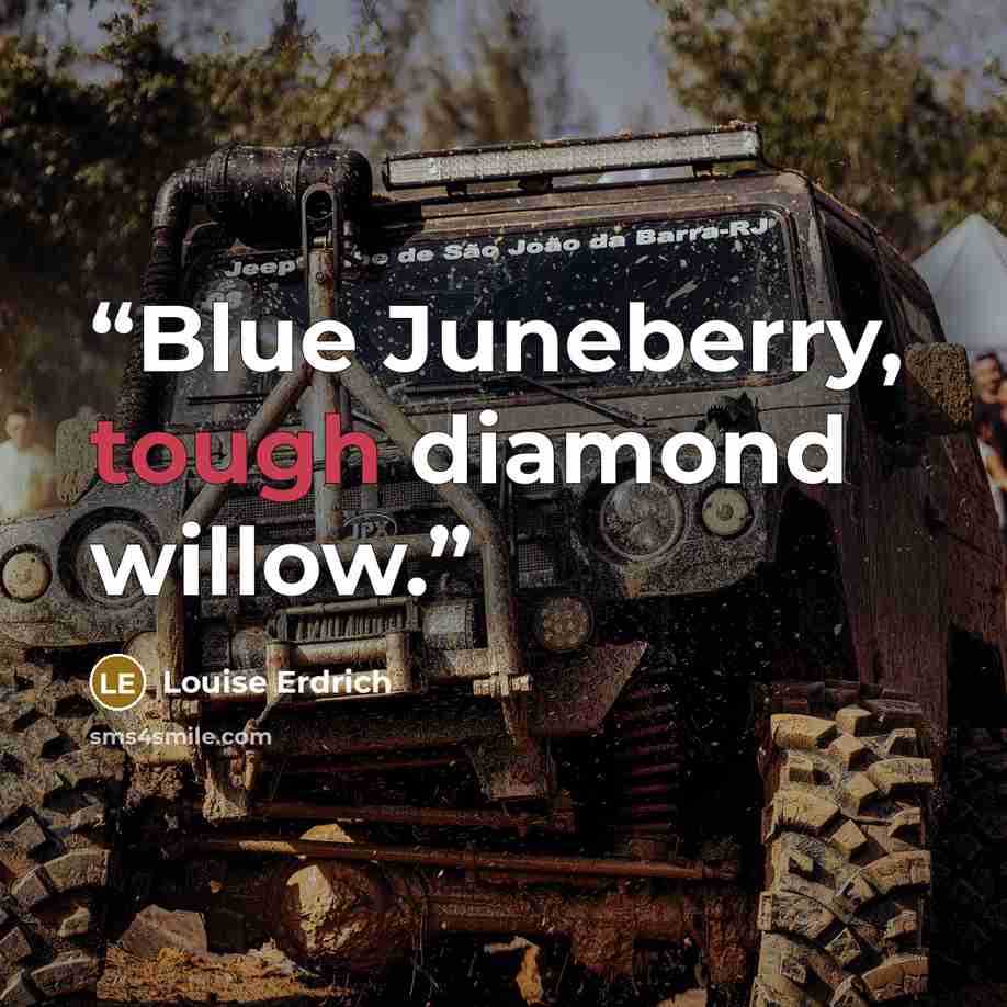“Blue Juneberry, tough diamond willow.” quote by Louise Erdrich
