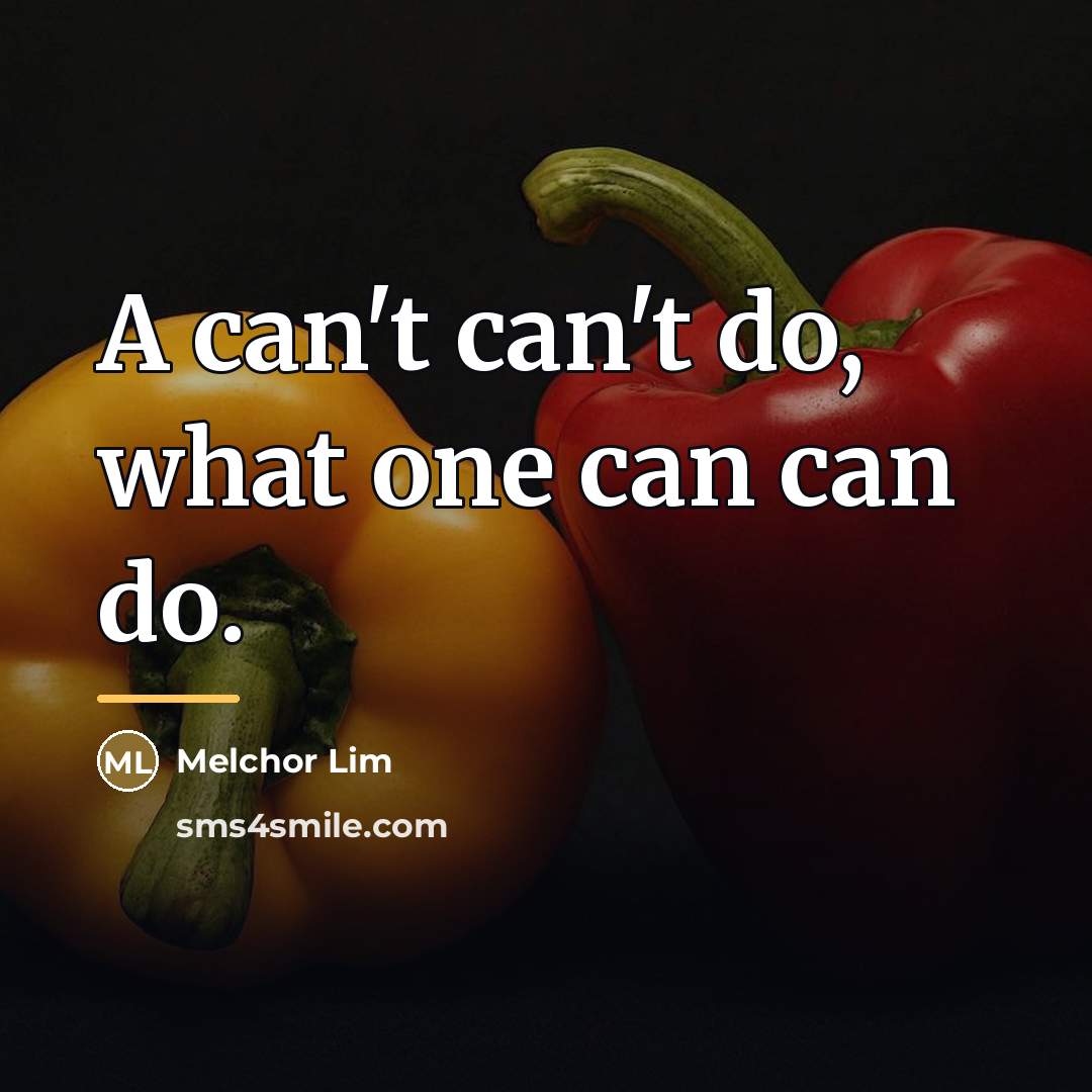 “A can't can't do, what one can can do.…” quote by Melchor Lim