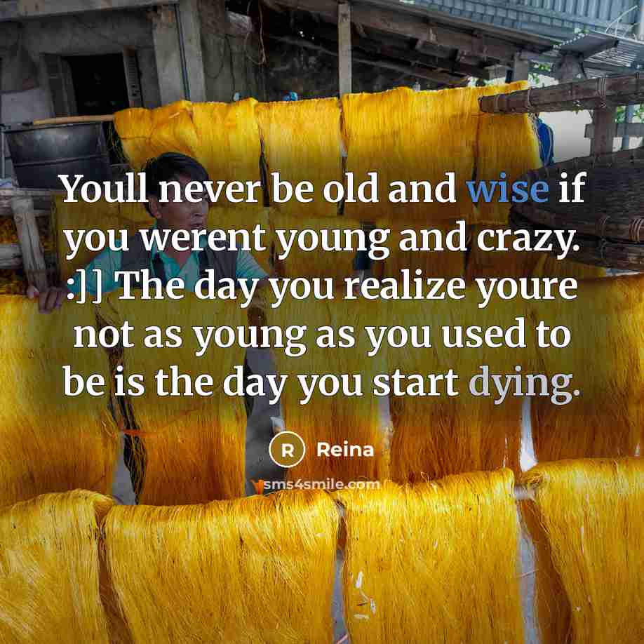 “Youll never be old and wise if you werent young and crazy. :]] The day you realize youre not as young as you used to be is the day you start dying.” quote by Reina