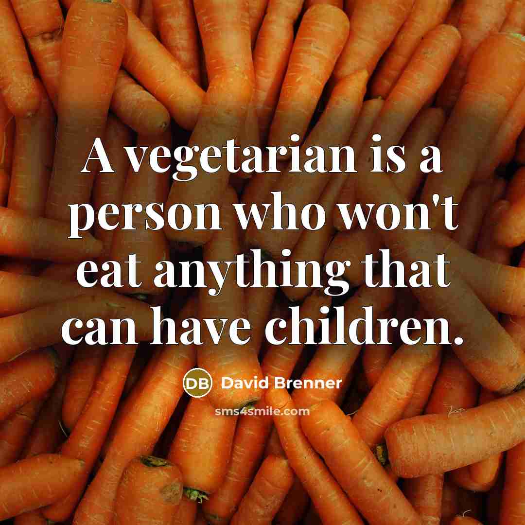 “A vegetarian is a person who won't eat anything that…” quote by David Brenner