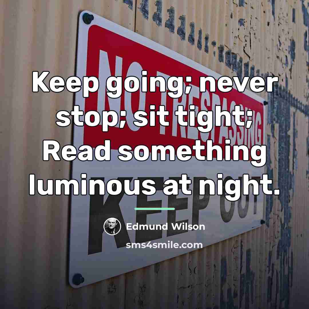 “Keep going; never stop; sit tight; Read something luminous at…” quote by Edmund Wilson