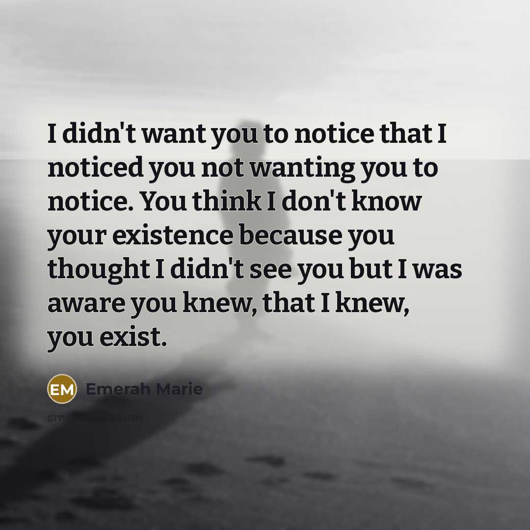 “I didn't want you to notice that I noticed you…” quote by Emerah Marie