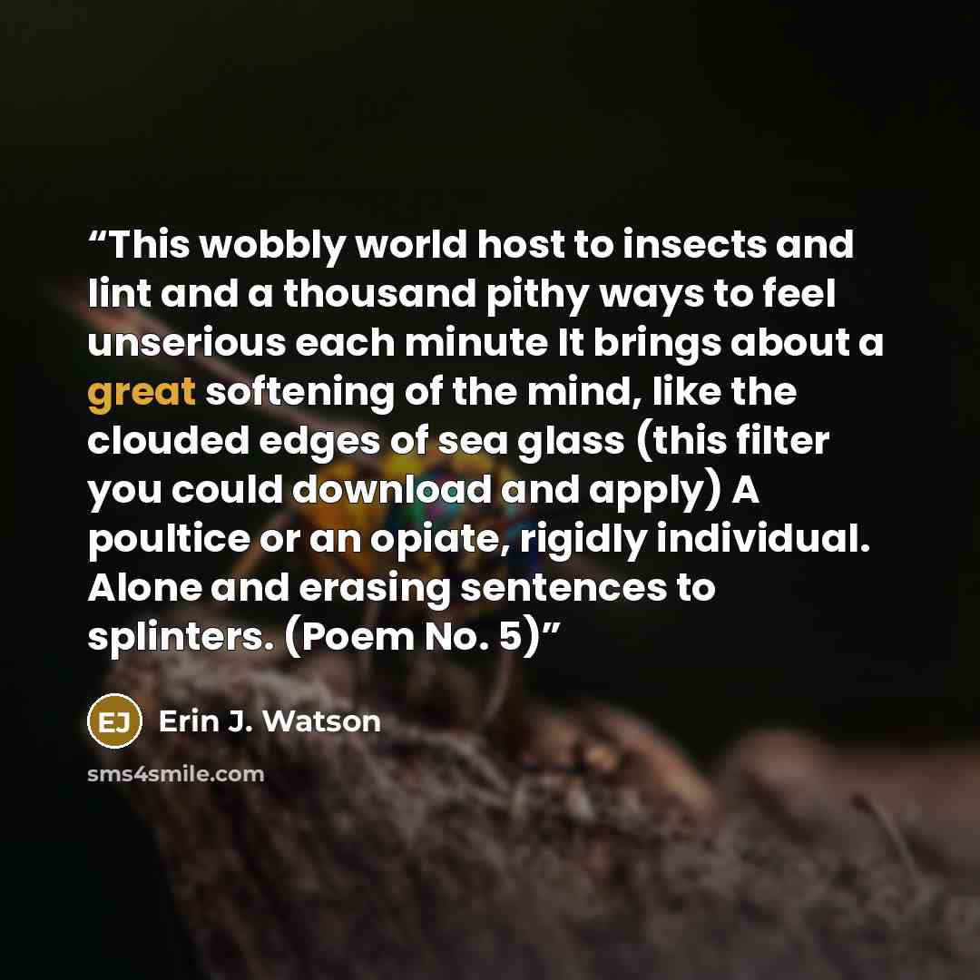 “This wobbly world host to insects and lint and a thousand pithy ways to feel unserious each minute It brings about a great softening of the mind, like the clouded edges of sea glass (this filter you could download and apply) A poultice or an opiate, rigidly individual. Alone and erasing sentences…” quote by Erin J. Watson