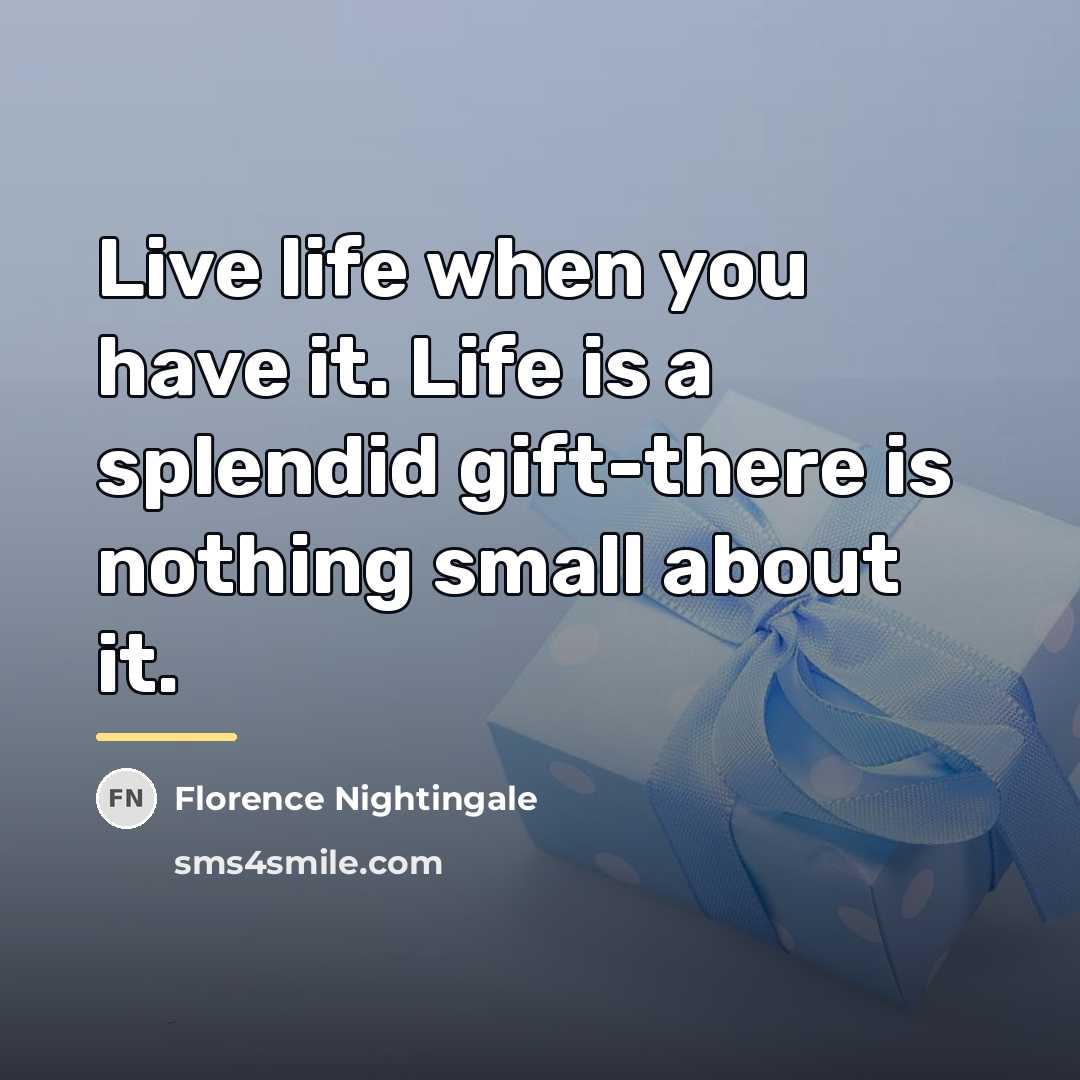 “Live life when you have it. Life is a splendid…” quote by Florence Nightingale