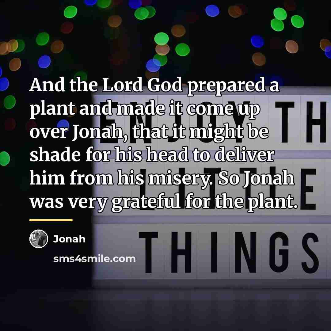 “And the Lord God prepared a plant and made it…” quote by Jonah