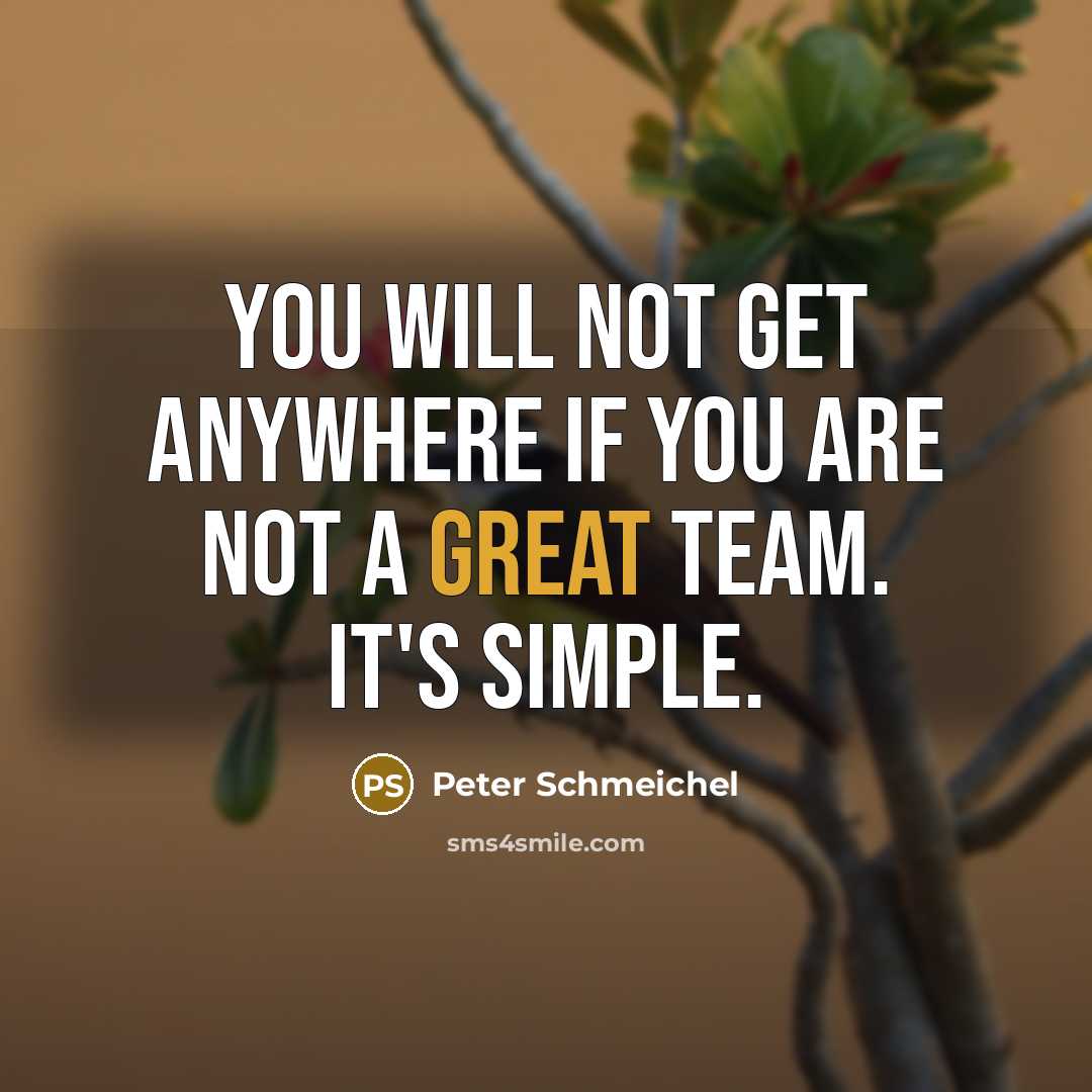 “You will not get anywhere if you are not a…” quote by Peter Schmeichel