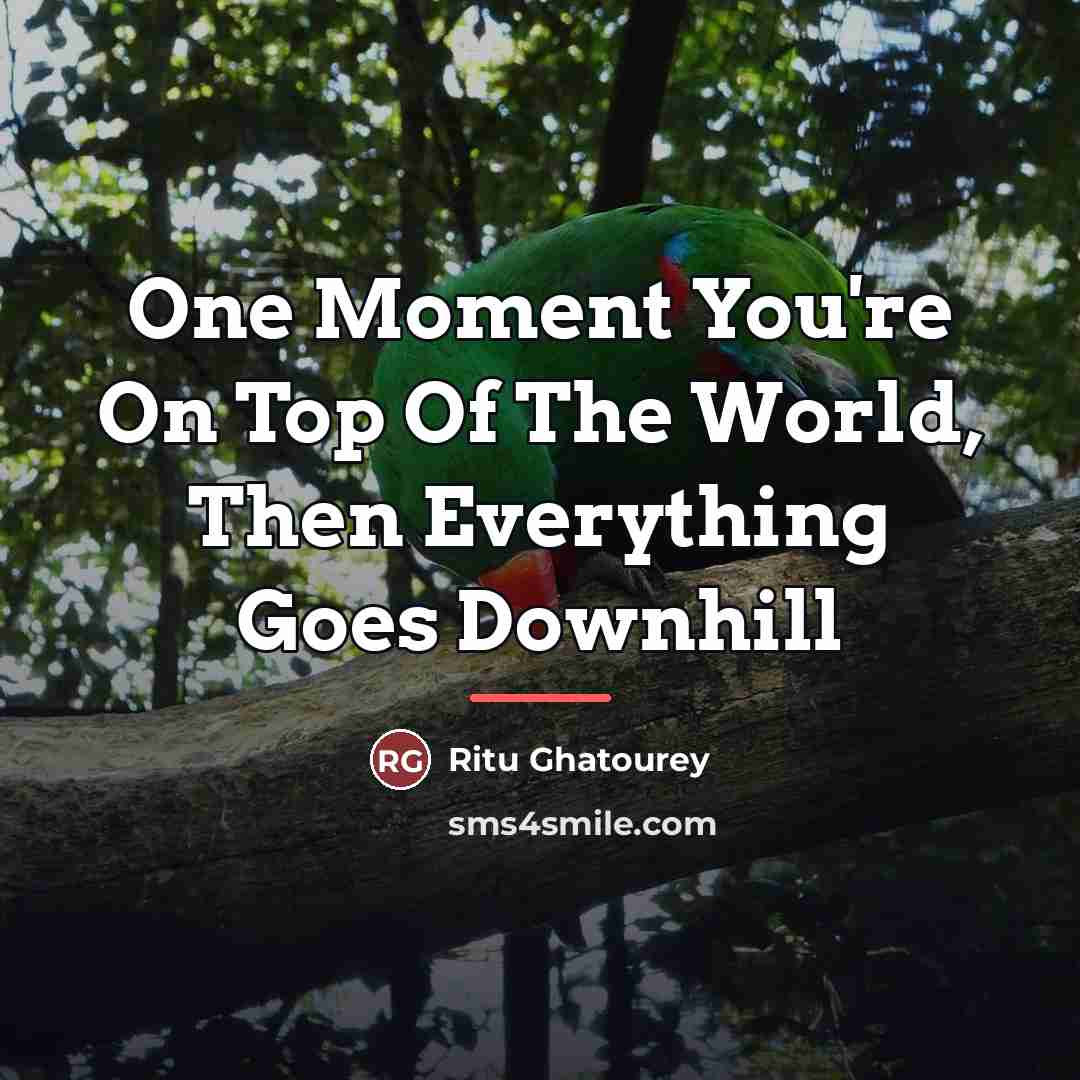 “One Moment You're On Top Of The World, Then Everything…” quote by Ritu Ghatourey