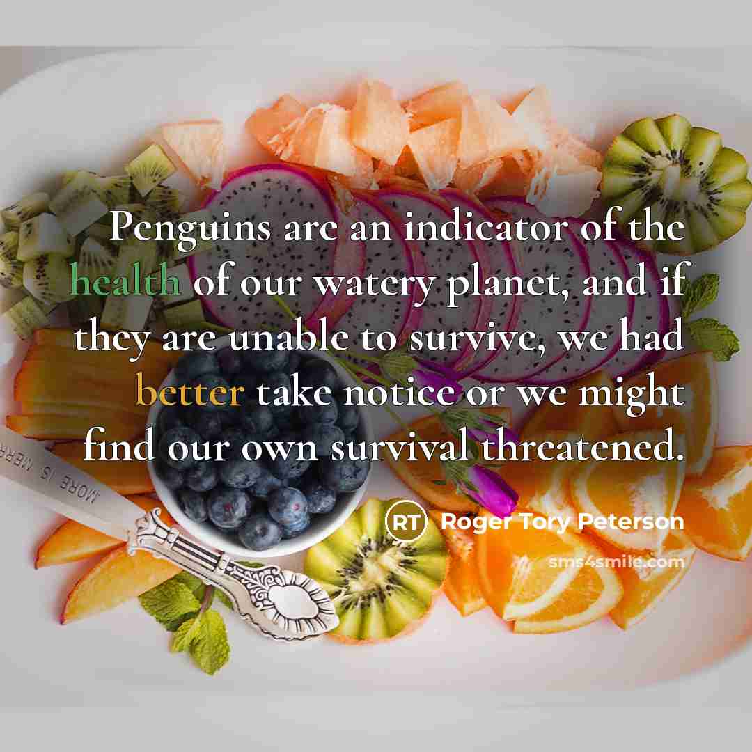 “Penguins are an indicator of the health of our watery…” quote by Roger Tory Peterson