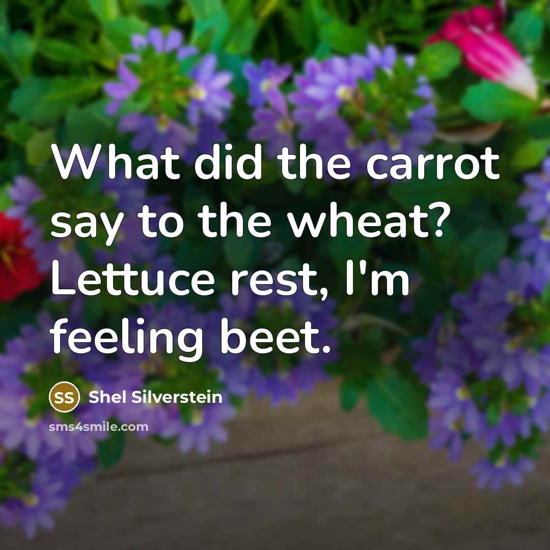 “What did the carrot say to the wheat? Lettuce rest,…” quote by Shel Silverstein