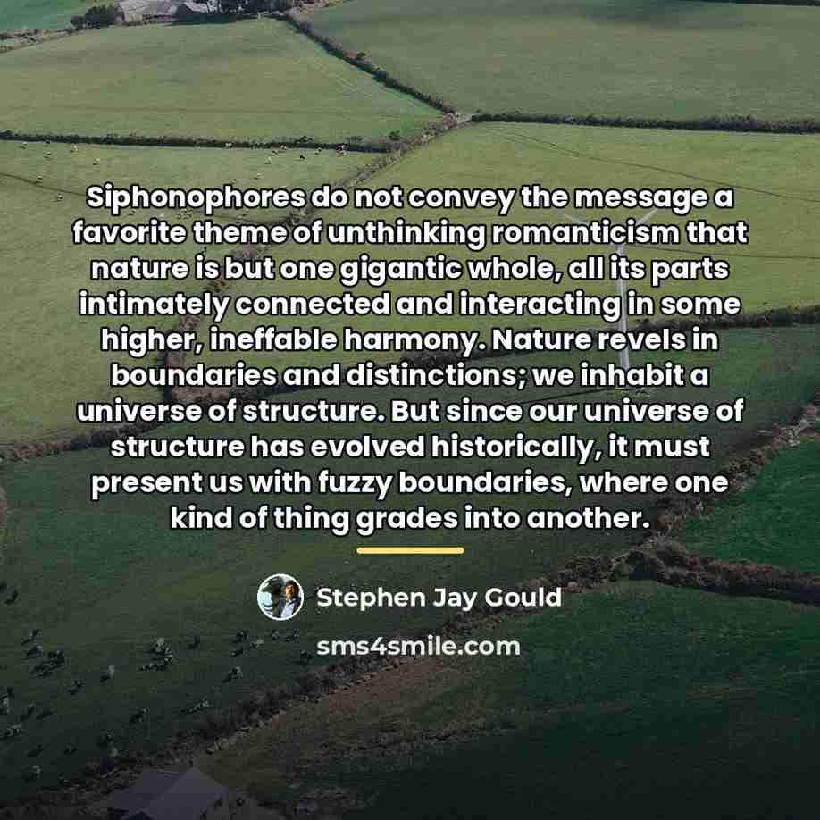 “Siphonophores do not convey the message a favorite theme of…” quote by Stephen Jay Gould