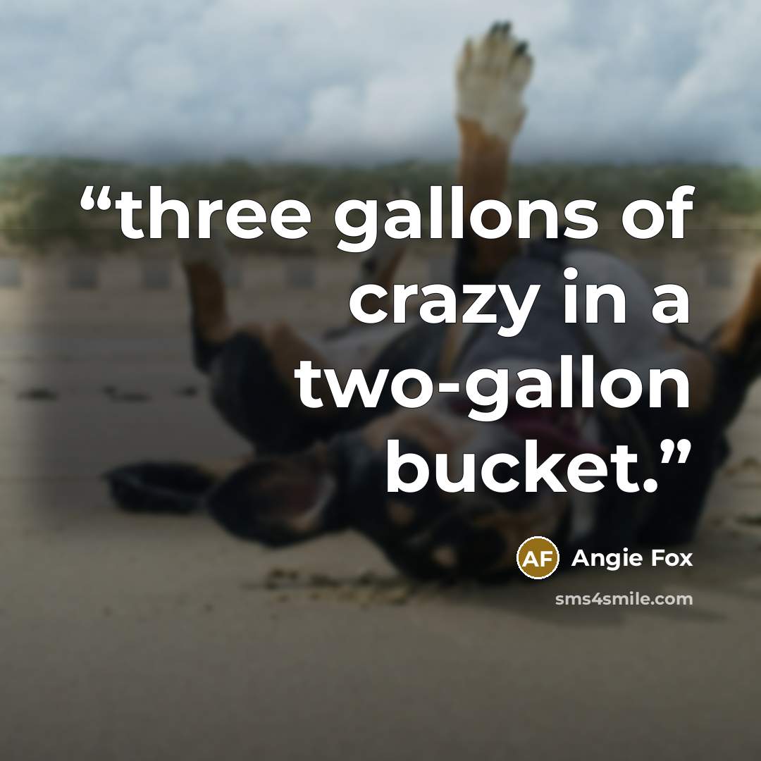 “three gallons of crazy in a two-gallon bucket.” quote by Angie Fox