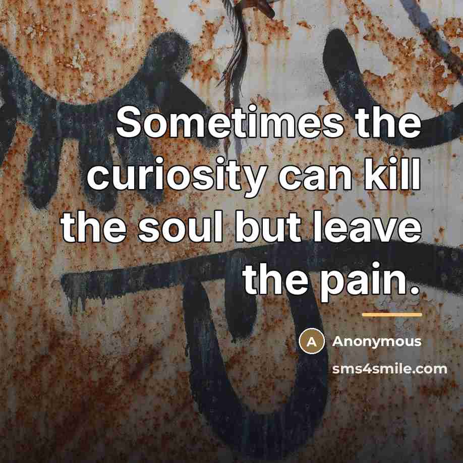 “Sometimes the curiosity can kill the soul but leave the…” quote by Anonymous