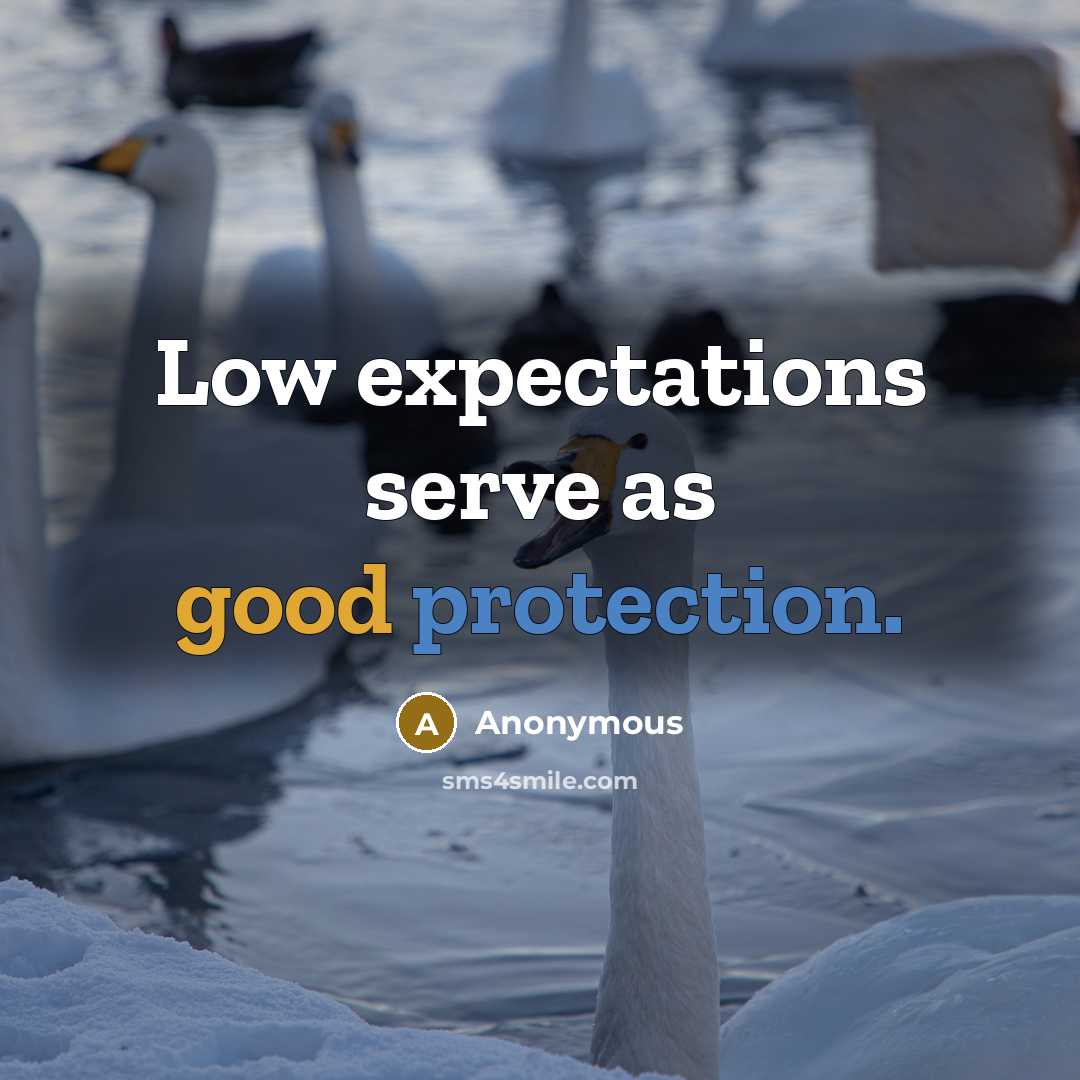 “Low expectations serve as good protection.” quote by Anonymous